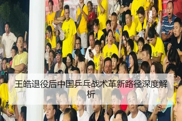 王皓退役后中国乒乓战术革新路径深度解析
