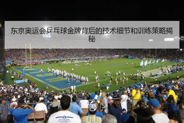 东京奥运会乒乓球金牌背后的技术细节和训练策略揭秘
